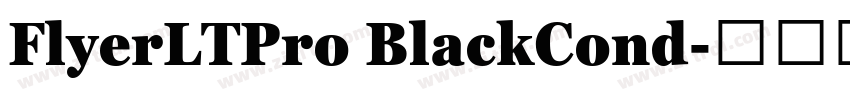 FlyerLTPro BlackCond字体转换 FlyerLTPro BlackCond字体转换